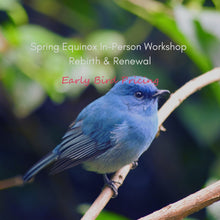 Load image into Gallery viewer, Spring Equinox Workshop: Rebirth &amp; Renewal - March 21-23 {In-Person}