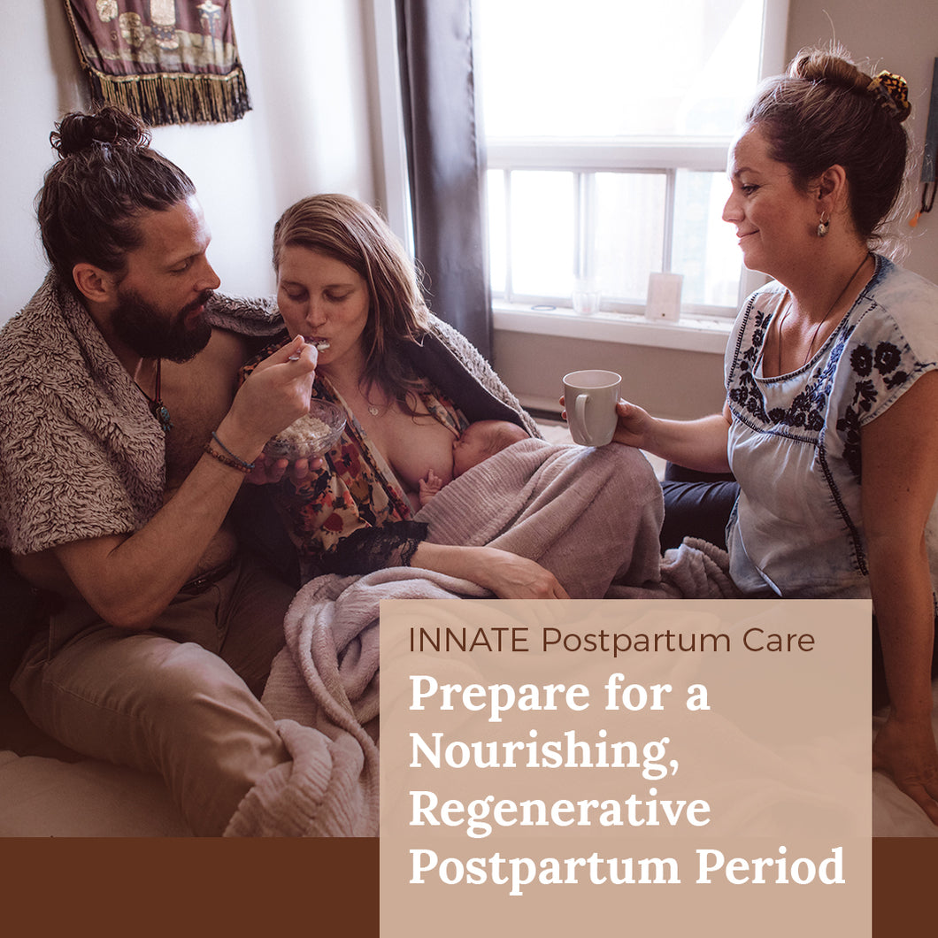 Preparing for the 4th Trimester Course offered by INNATE Postpartum Care {In-Person at Wollf House}